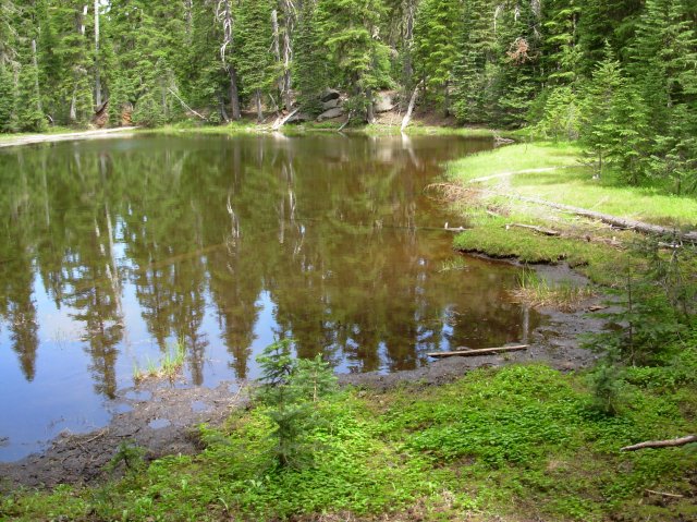 Summer '06 Sunriver 509 